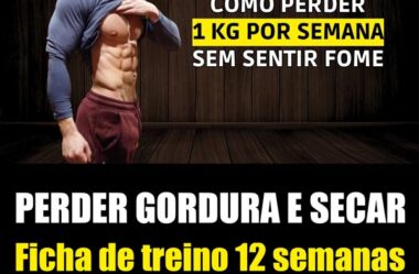 SUMMER SHREDDED Perder Gordura e Secar Ficha de treino 12 semanas